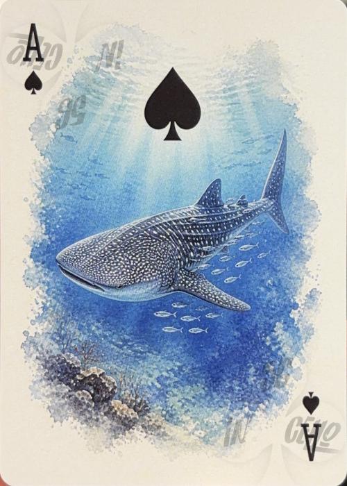 Aquatic Creatures - Ace of Spades
