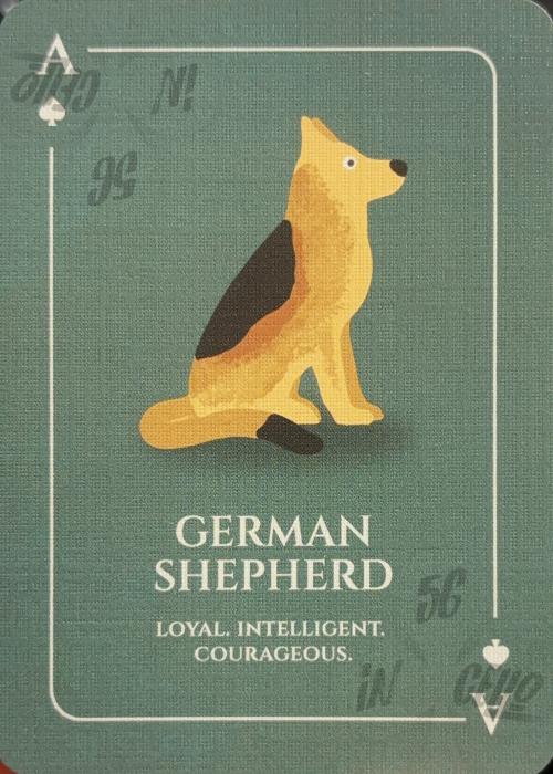 Dogs - Ace of Spades