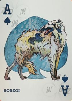 A spades Image