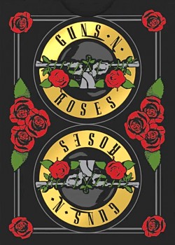 Guns N Roses [Bicycle] back