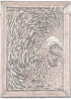 Zoo 52 - Porcupine Thumbnail