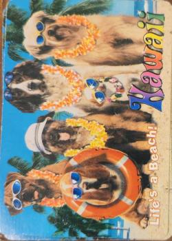 Life is a beach - Hawaii Thumbnail