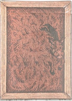 Zoo 52 - Warthog Thumbnail