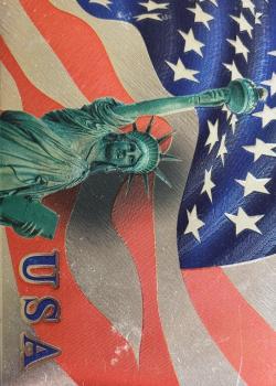 USA Silver Thumbnail