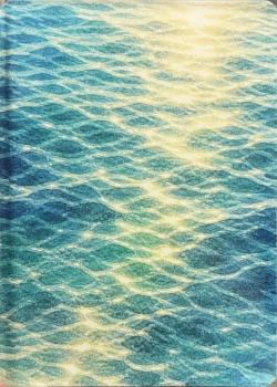 Aquatic Creatures Front Thumbnail Image