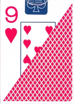 Bee Jumbo Index No 77 Red [Blue Seal] by USPCC – tuck box back