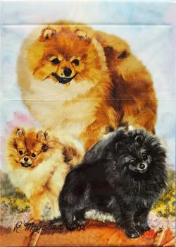 Best Friends: Pomeranian Thumbnail