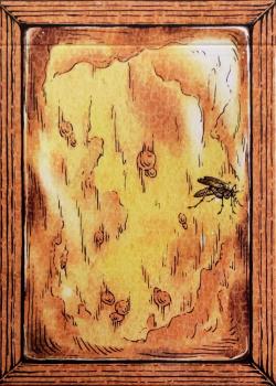 Zoo 52 - Amber Thumbnail