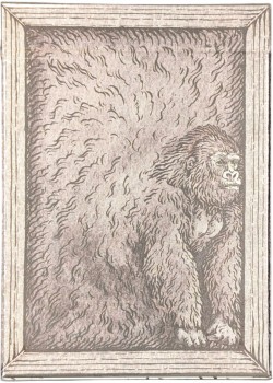 Zoo 52 - Orangutan Thumbnail