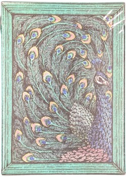 Zoo 52 - Peacock Front Thumbnail Image