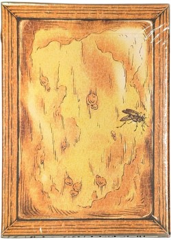 Zoo 52 - Amber Thumbnail