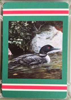 Common Loon Front Thumbnail Image