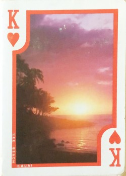 New Aloha by Hawaii Wild Cards – tuck box back
