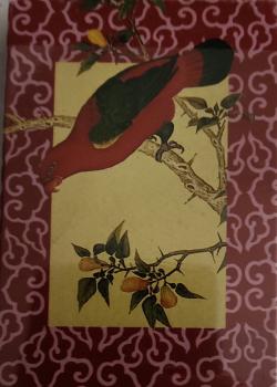 Red Bird/Cardbinal Thumbnail