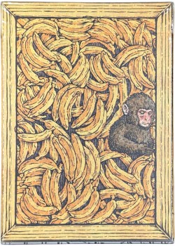 Zoo 52 - Macaque Front Thumbnail Image