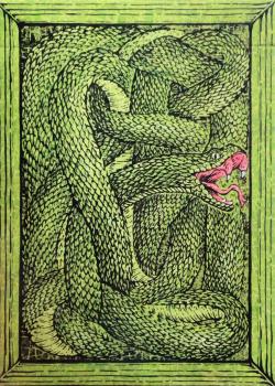 Zoo 52 - Viper Thumbnail