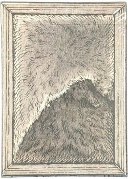 Zoo 52 - Honey Badger Thumbnail