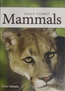 Mammals Of The Gulf Coast Thumbnail