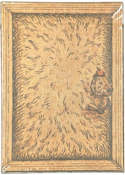 Zoo 52 - Capybara Thumbnail