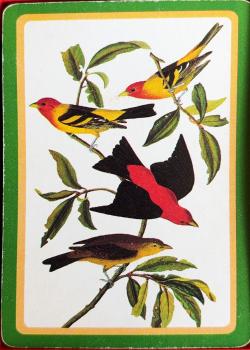 Hallmark Audubon Birds Thumbnail
