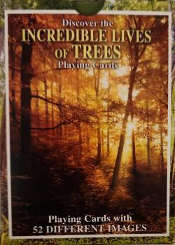 Incredible Lives of Trees Thumbnail