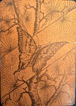 Congress 606 "Butterfly" (Lacquer Back) Thumbnail