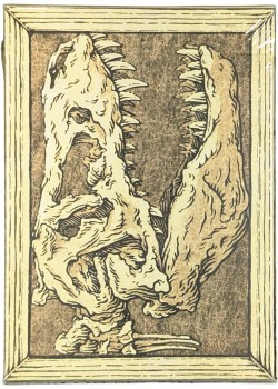 Zoo 52 - Fossil Front Thumbnail Image