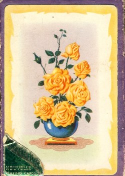 Yellow Roses Thumbnail