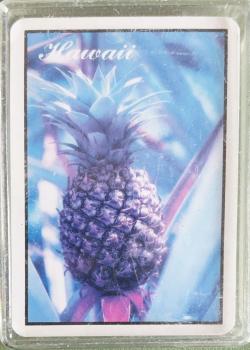Hawaii Pineapple Thumbnail