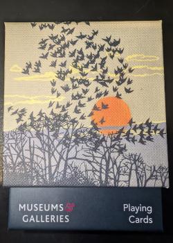 Museums & Galleries Aerial Manoeuvers Thumbnail