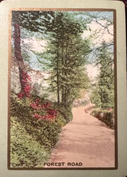 Congress 606 "Forest Road" Thumbnail
