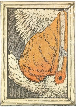 Zoo 52 - Pelican Thumbnail