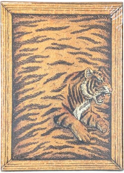 Zoo 52 - Tiger Thumbnail