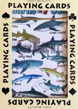 Sharks of the 7 Seas - Outer Banks, NC Thumbnail