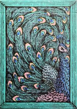 Zoo 52 - Peacock Front Thumbnail Image