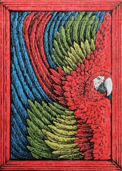 Zoo 52 - Macaw Front Thumbnail Image