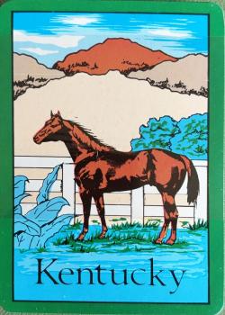 Kentucky Horse Thumbnail