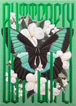 Emerald Green Morpho Gilded - Deck Front
