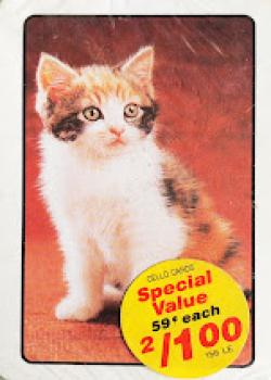 Kitty Cat Thumbnail