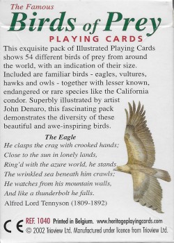 Birds Of Prey by Heritage Playing Card Company – tuck box back