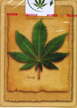 Hemp [Bicycle] by Bicycle – tuck box back
