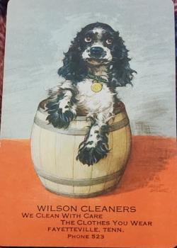 Cocker spaniel Butch in a cup Front Thumbnail Image