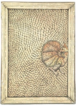 Zoo 52 - Frilled Lizard Thumbnail