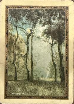 Congress 606 “Autumn” - Deck Front