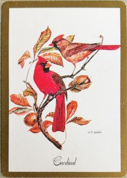 Congress Cardinal Thumbnail