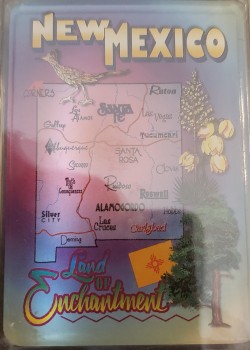 New Mexico Thumbnail