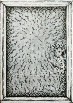 Zoo 52 - Koala Thumbnail