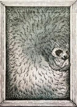 Zoo 52 - Raccoon Thumbnail