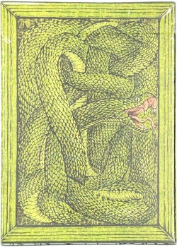 Zoo 52 - Viper Thumbnail