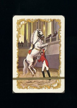 White Horse Patience 2 back